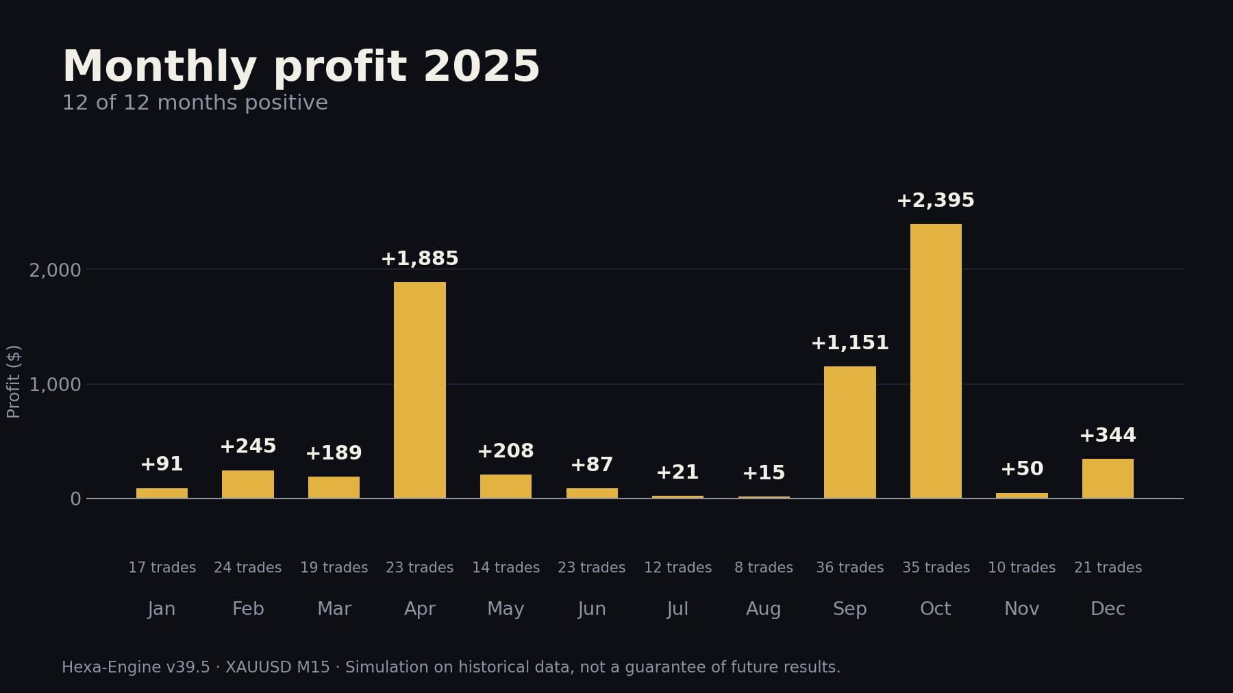 Monthly profit 2025: all 12 months positive